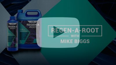 regen-a-root-post-1000×563-01